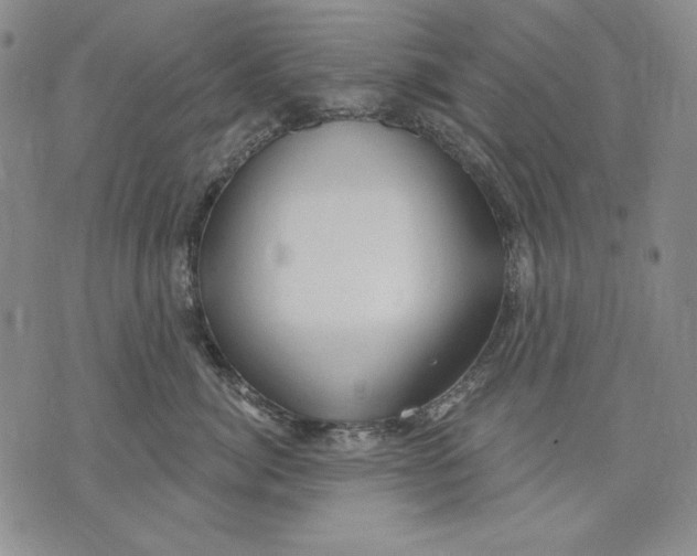 X0000072490764200608041416