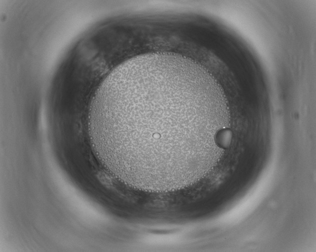 X0000072490765200608041416