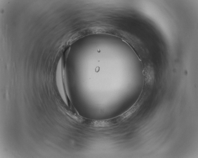 X0000072490766200608041416