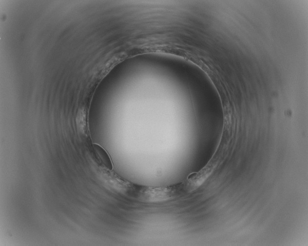 X0000072490767200608041416