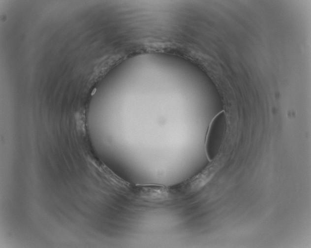 X0000072490768200608041416