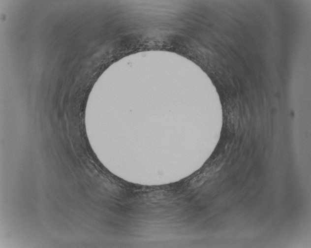 X0000072490769200608041415