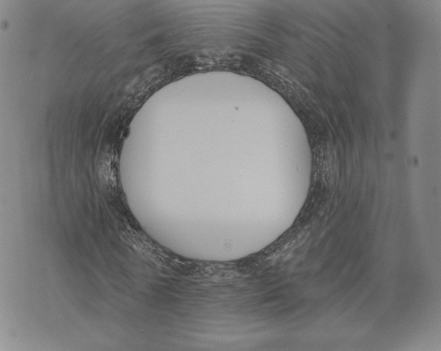 X0000072490770200608041415