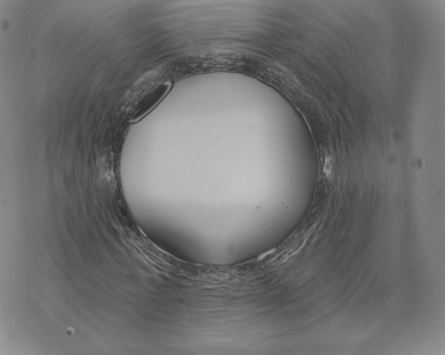 X0000072490771200608041415