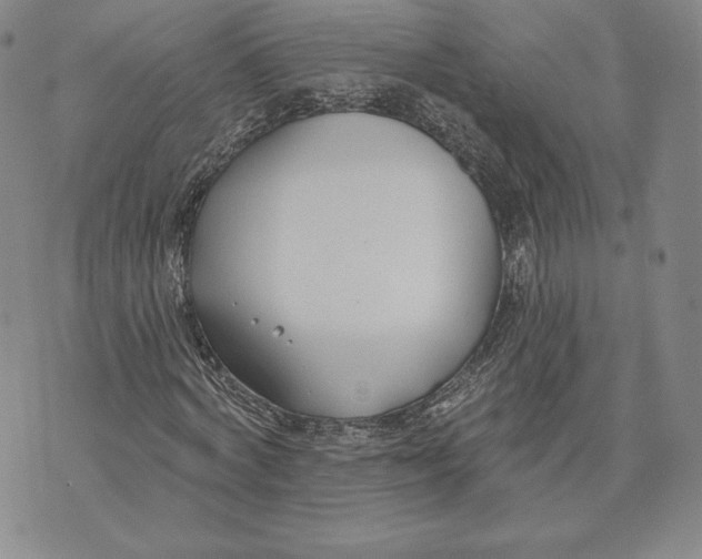 X0000072490772200608041415