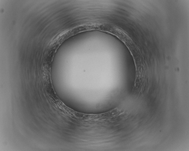 X0000072490773200608041415