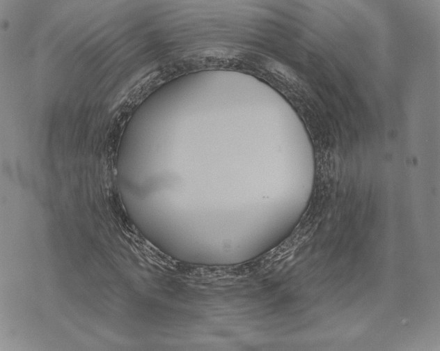 X0000072490774200608041415