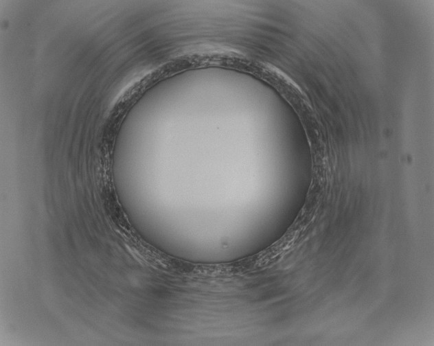 X0000072490775200608041415