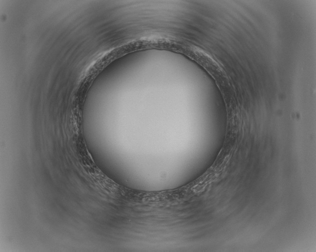 X0000072490776200608041415