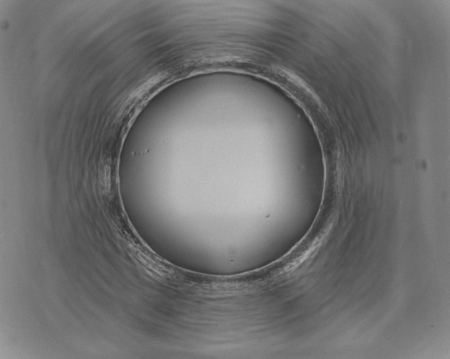 X0000072490777200608041415