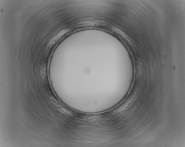 X0000072490778200608041415