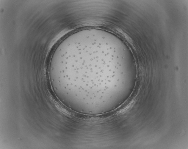 X0000072490779200608041415