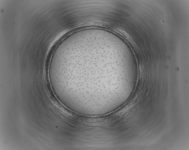 X0000072490780200608041415