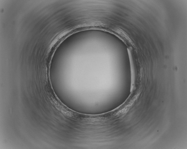 X0000072490781200608041415