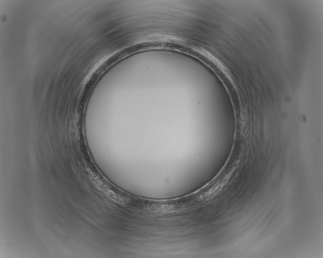 X0000072490783200608041415