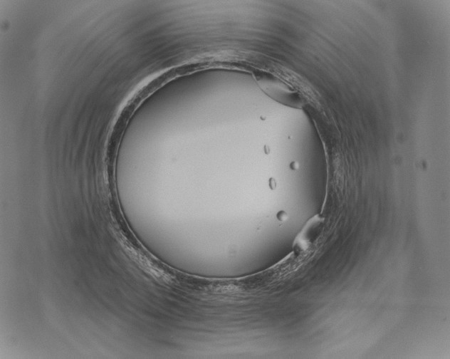 X0000072490784200608041415