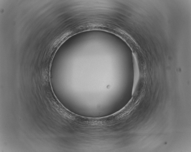 X0000072490785200608041415