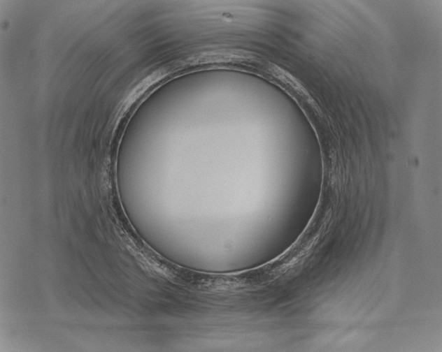 X0000072490786200608041415