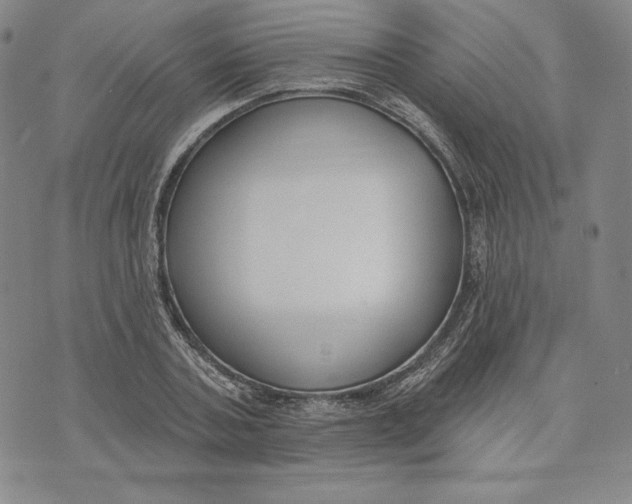 X0000072490787200608041415