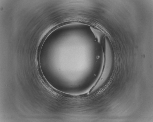 X0000072490788200608041415