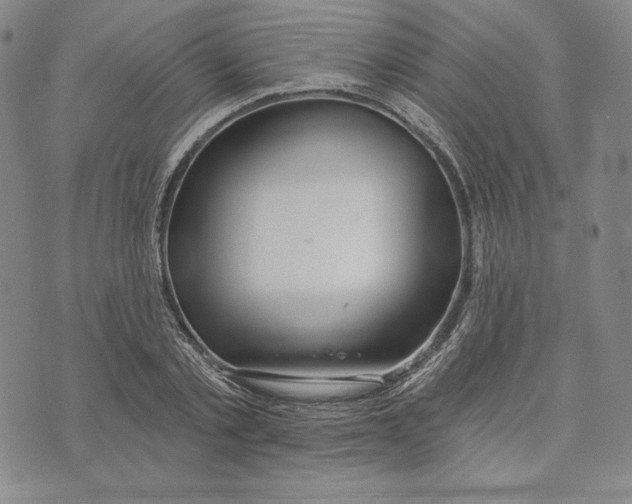 X0000072490789200608041415