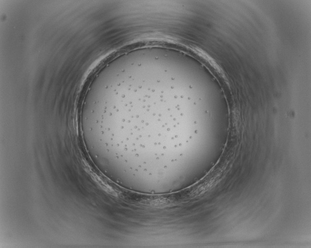 X0000072490791200608041415