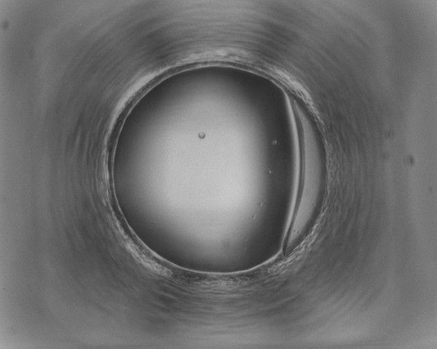 X0000072490792200608041415