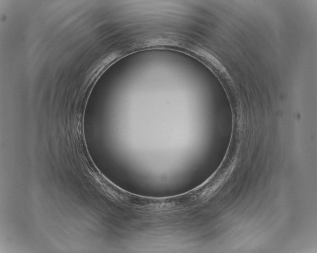 X0000072490793200608041415