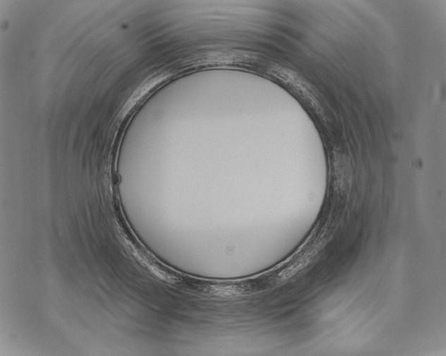 X0000072490794200608041415