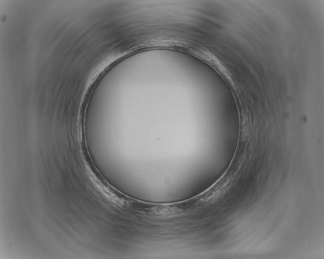 X0000072490795200608041415