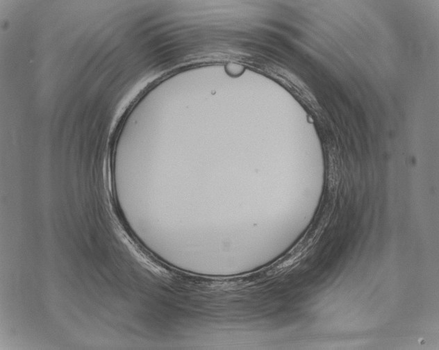 X0000072490796200608041415