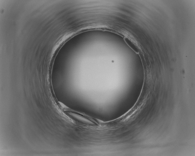 X0000072490797200608041415