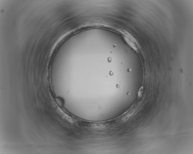 X0000072490799200608041414