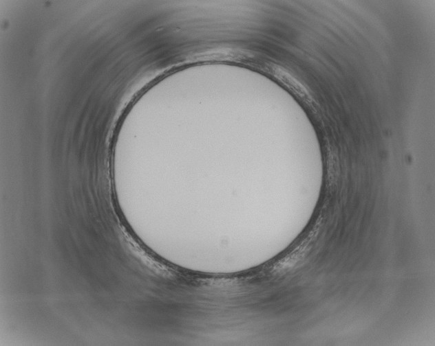 X0000072490800200608041414