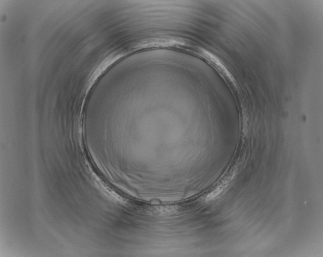 X0000072490802200608041414