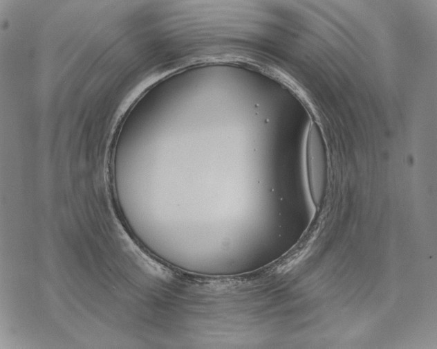 X0000072490803200608041414