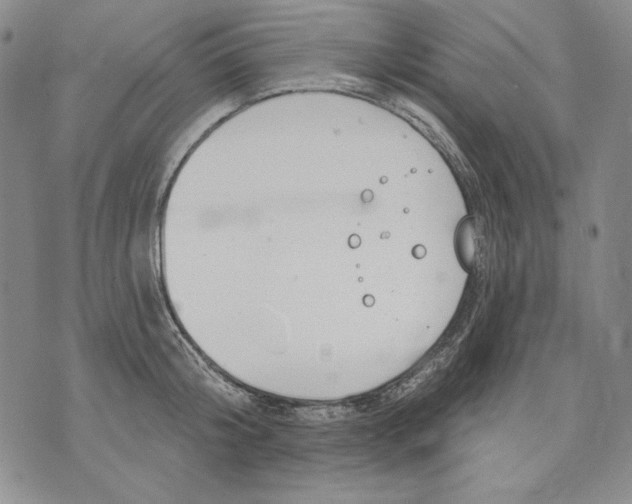 X0000072490804200608041414