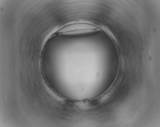 X0000072490805200608041414