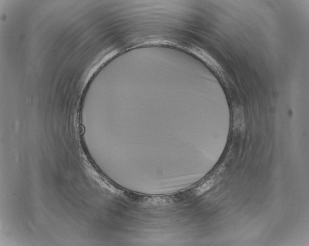 X0000072490806200608041414