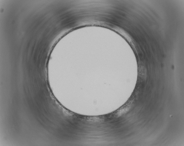 X0000072490807200608041414