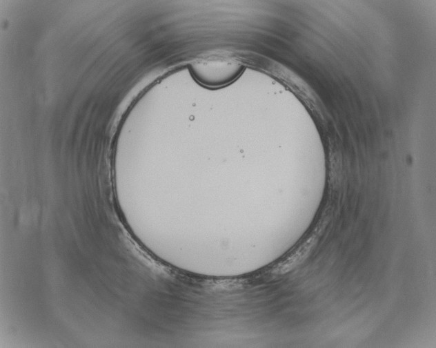 X0000072490808200608041414