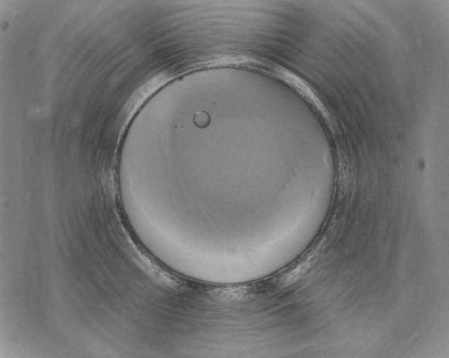 X0000072490810200608041414