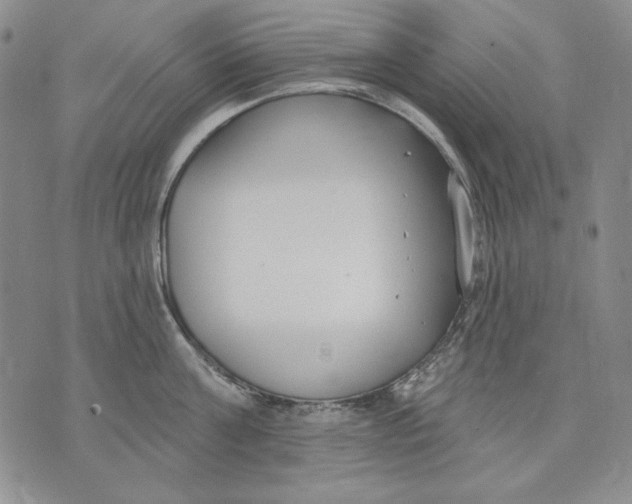 X0000072490811200608041414