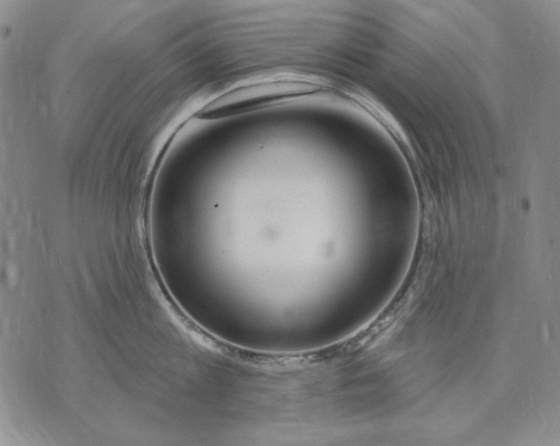 X0000072490813200608041414