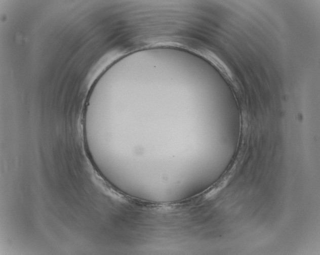 X0000072490814200608041414