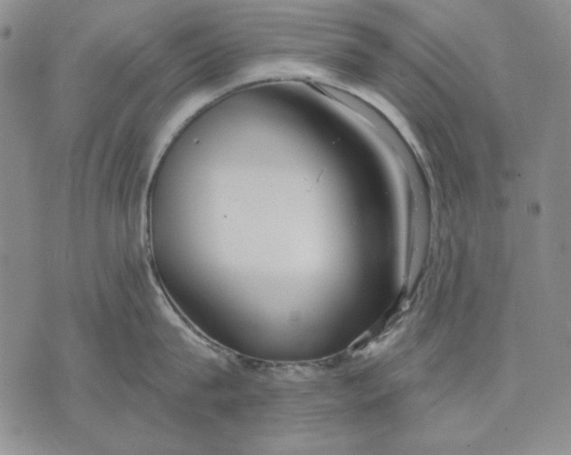 X0000072490815200608041414