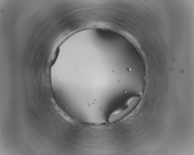 X0000072490816200608041414