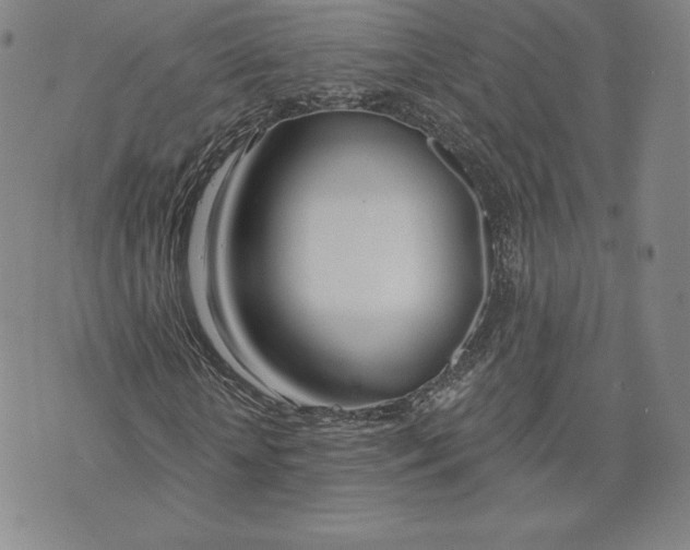 X0000072490818200608041413