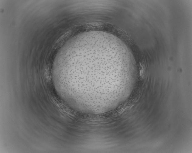 X0000072490819200608041413