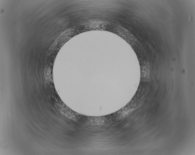 X0000072490820200608041413